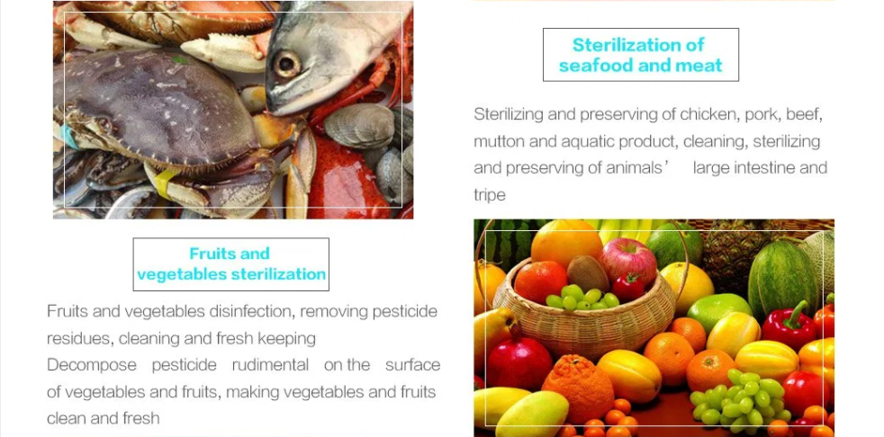 Ozone-01 Ozone Water Purifier&Purify Fruits, Vegetables & Water at Home, Farm & Restaurant